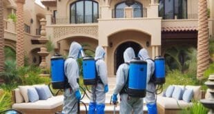 شركة مكافحة حشرات دبي 0561708920 – اختيارك الأمثل مع شركة نور الثقة لخدمات التنظيف