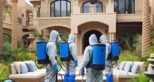 شركة مكافحة حشرات دبي 0561708920 – اختيارك الأمثل مع شركة نور الثقة لخدمات التنظيف